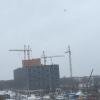 IMG_8685.JPG