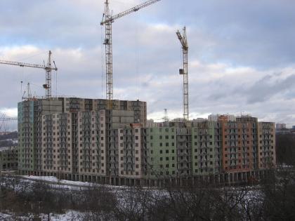 IMG_1204.JPG