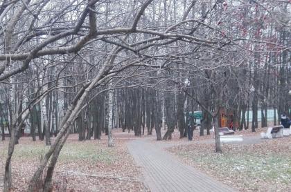 площадка под реновацию 1.jpg