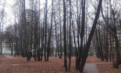 площадка под реновацию 2.jpg