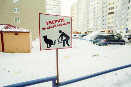 Уберите за своей собакой.jpg