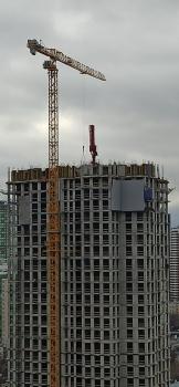IMG_20211106_114259.jpg