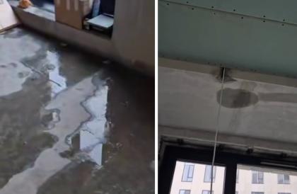 photo_2025-11-18_11-21-55 (2).jpg