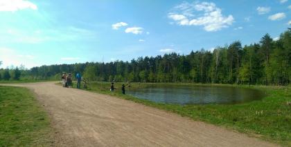 IMG_20161219_155121~2.jpg