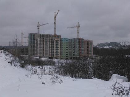 митино3.JPG