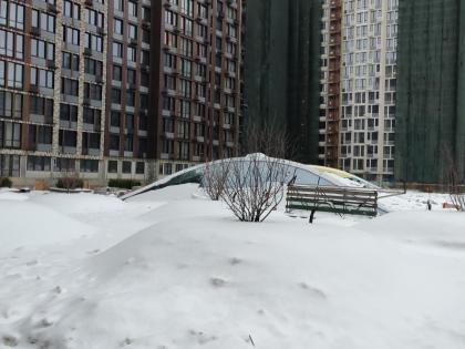 IMG_20181210_151110.jpg