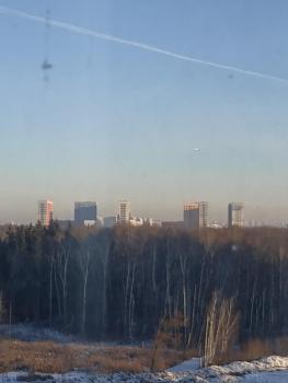 IMG_20201207_102502.jpg