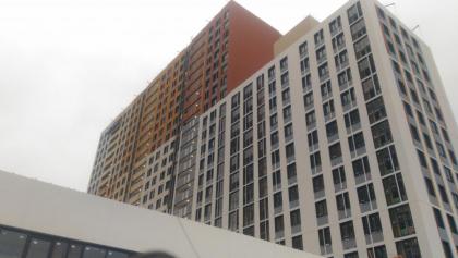 P_20201226_125849.jpg