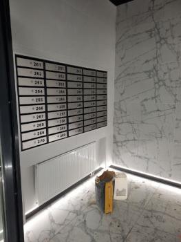 post-103350-0-61037900-1670828165.jpg